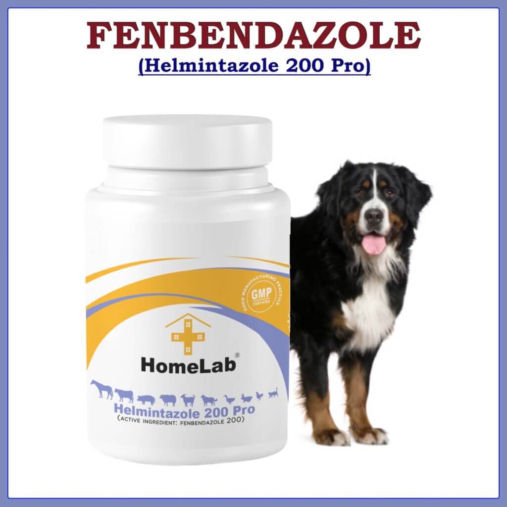Helmintazole 500mg capsules Fenbendazol panacur for dog