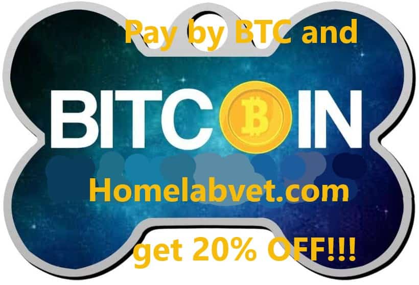 pay btc online