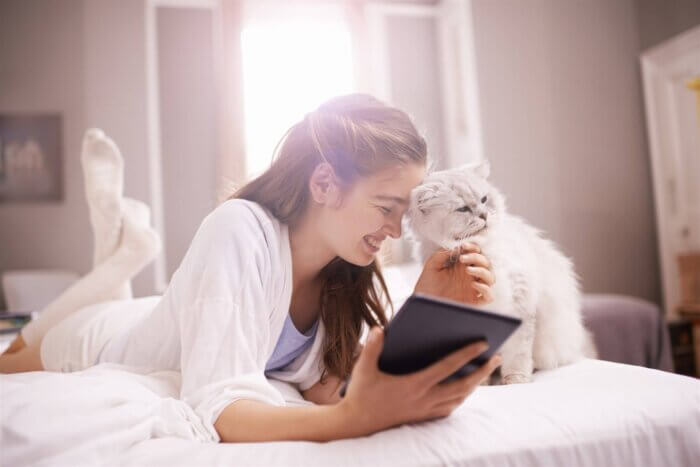 pet meds online homelabvet